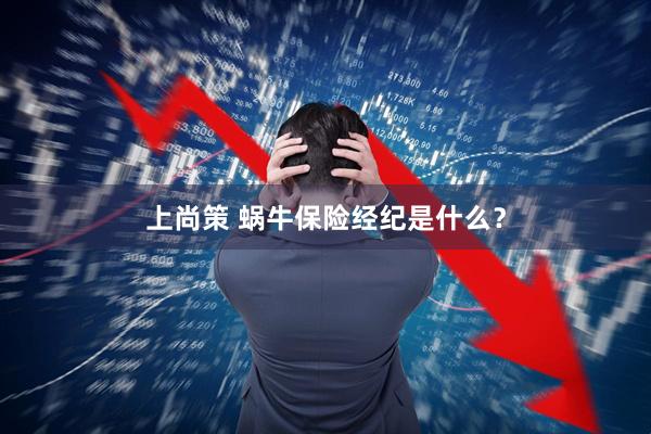 上尚策 蜗牛保险经纪是什么？