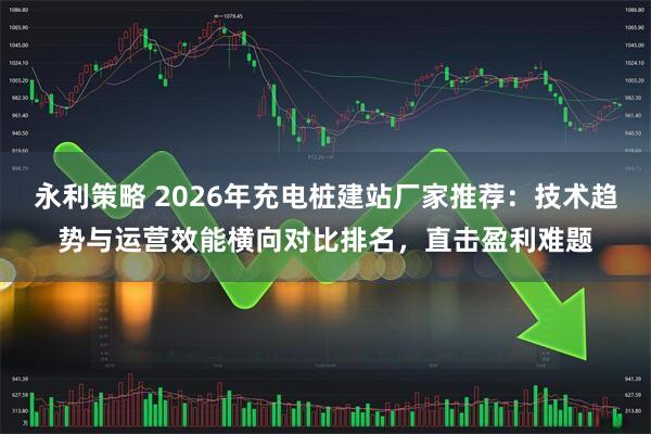 永利策略 2026年充电桩建站厂家推荐：技术趋势与运营效能横向对比排名，直击盈利难题