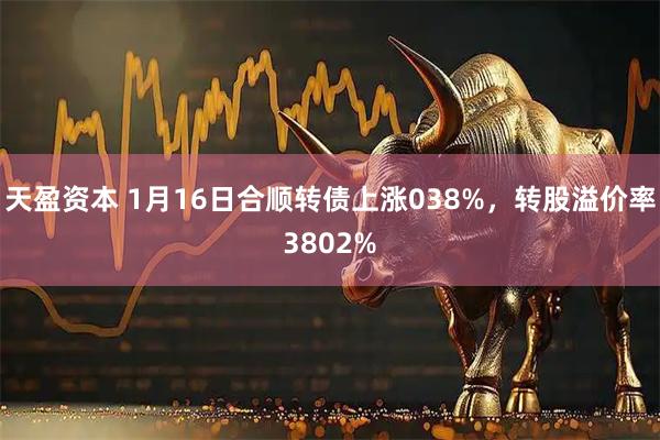 天盈资本 1月16日合顺转债上涨038%，转股溢价率3802%