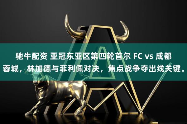 驰牛配资 亚冠东亚区第四轮首尔 FC vs 成都蓉城,林加德与菲利佩对决,焦点战争夺出线关键。